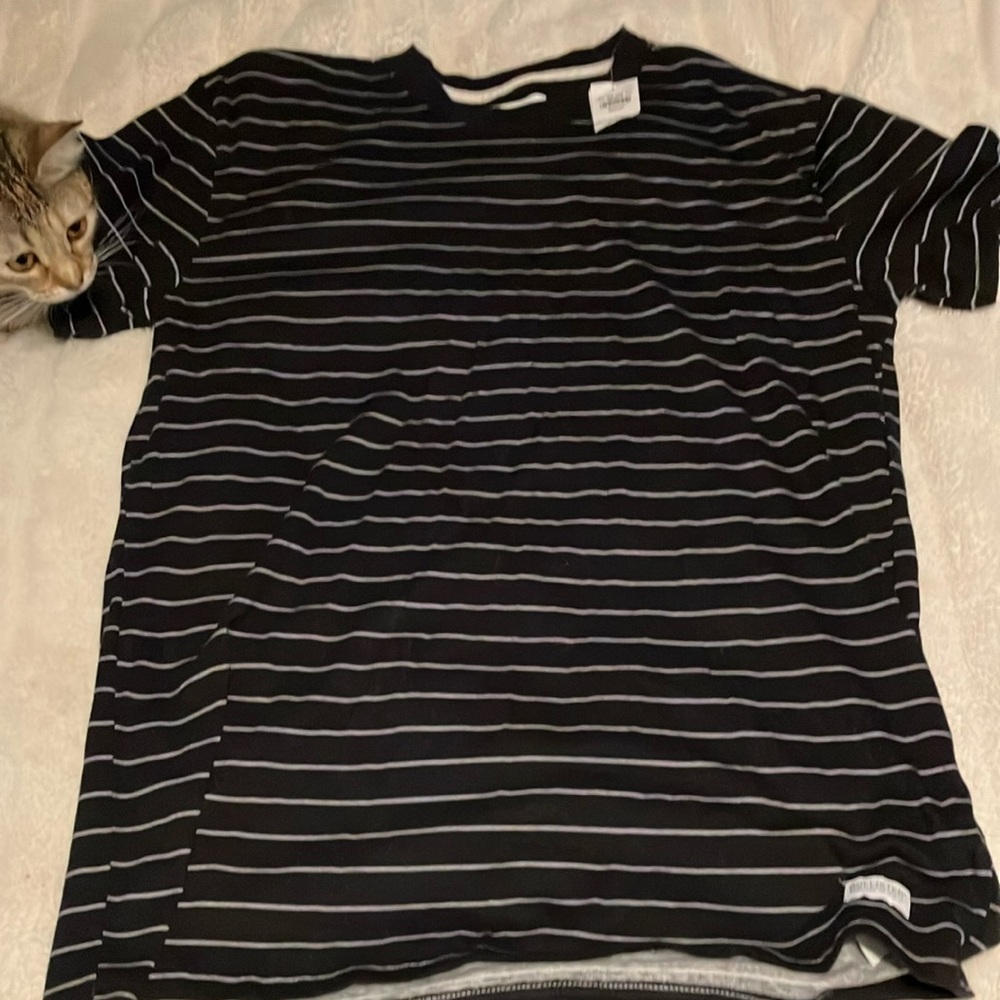 Hollister black stripe shirt CAT NOT INCLUDED
